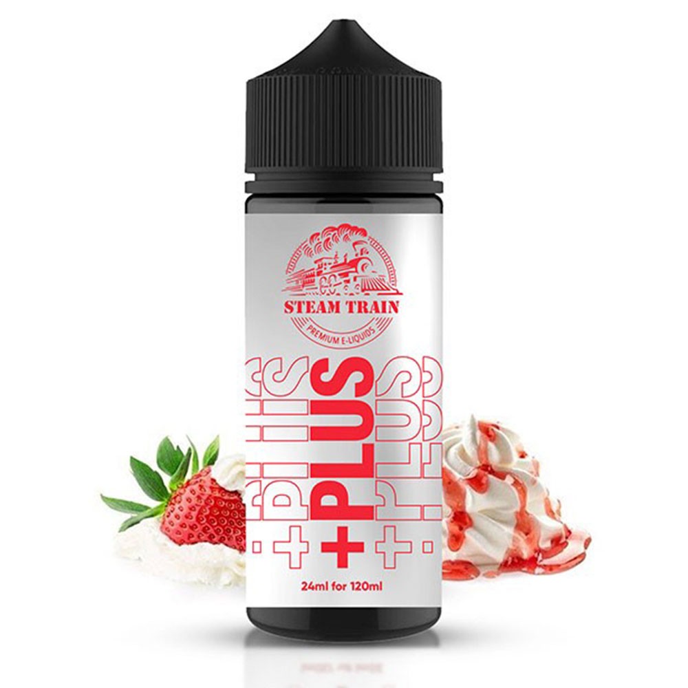 STEAM TRAIN Signalman Plus 24/120ml